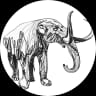 wildbar